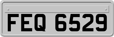 FEQ6529