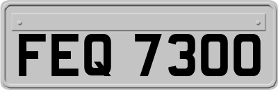 FEQ7300