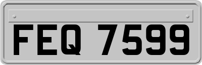 FEQ7599