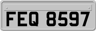 FEQ8597