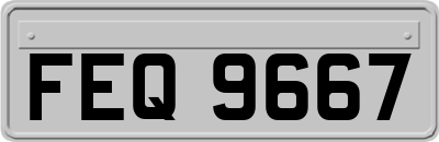 FEQ9667