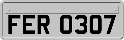 FER0307