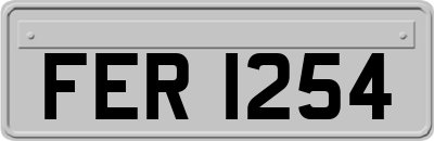 FER1254