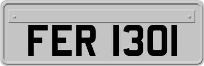 FER1301