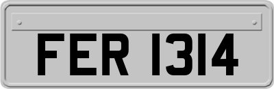 FER1314
