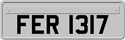 FER1317