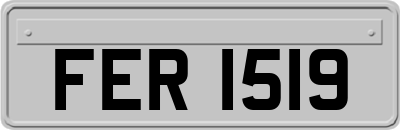 FER1519