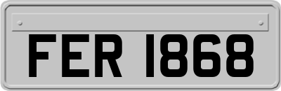 FER1868
