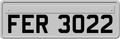 FER3022