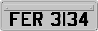 FER3134