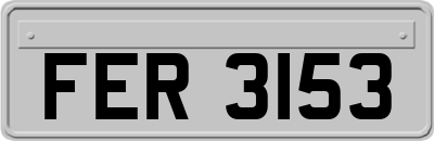 FER3153
