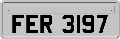 FER3197