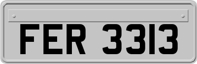 FER3313
