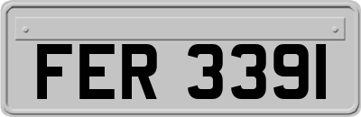FER3391