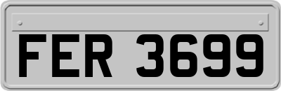 FER3699