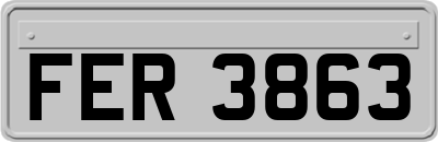 FER3863