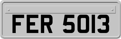 FER5013