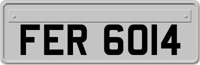 FER6014