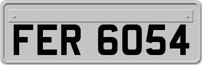 FER6054