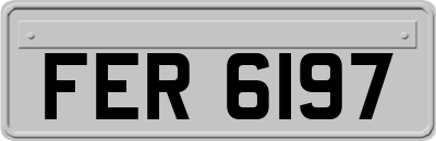 FER6197