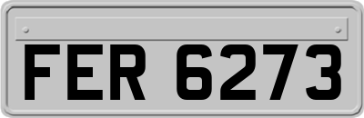 FER6273