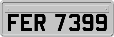 FER7399