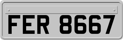 FER8667
