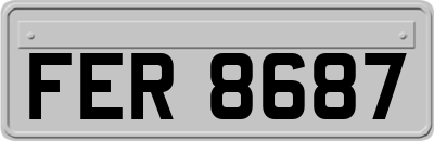 FER8687