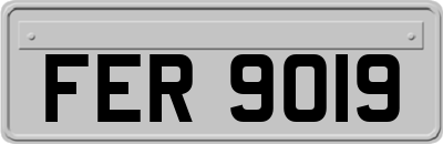 FER9019