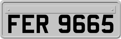 FER9665