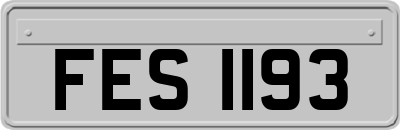 FES1193