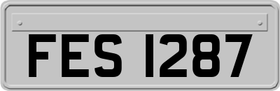 FES1287