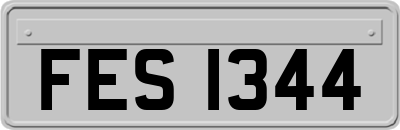 FES1344