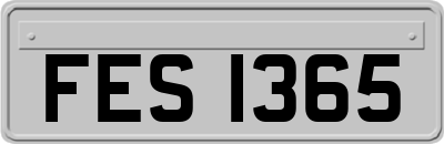 FES1365