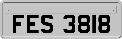 FES3818