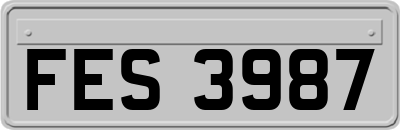 FES3987