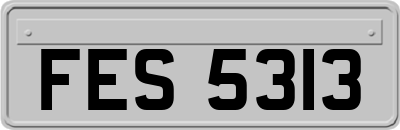 FES5313