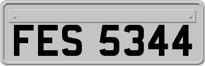 FES5344