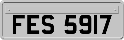 FES5917