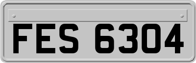 FES6304