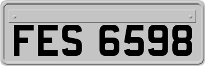 FES6598