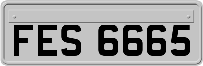FES6665