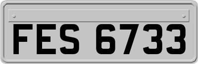 FES6733