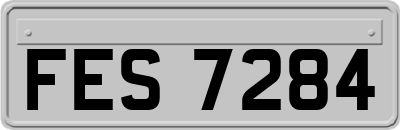FES7284