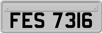 FES7316