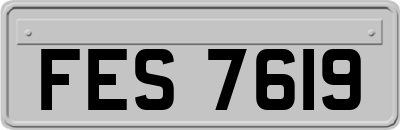 FES7619