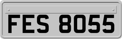 FES8055