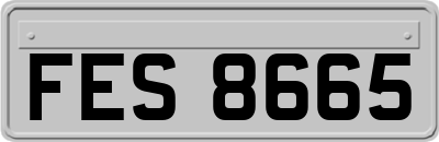 FES8665