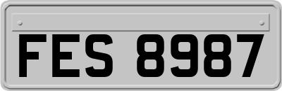 FES8987