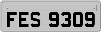 FES9309